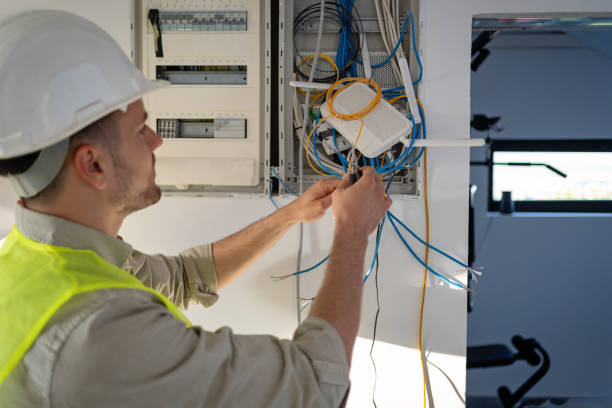 Best Electric Panel Repair  in Ironwood, MI